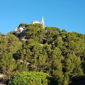 Sous L'olivier Hébergement de vacances